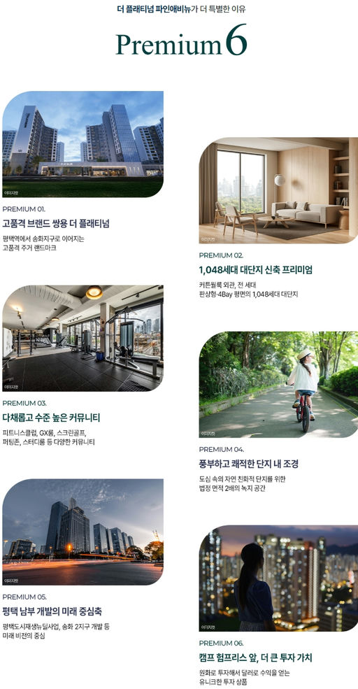 더 플래티넘 파인애비뉴 이미지 3